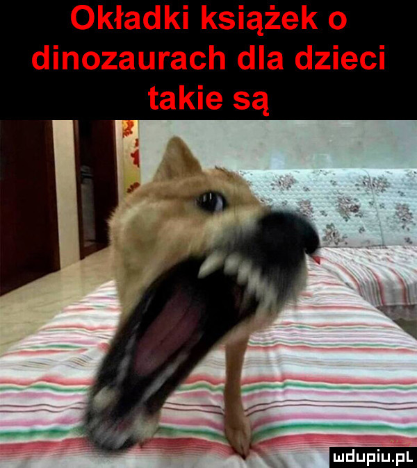 Obrazek