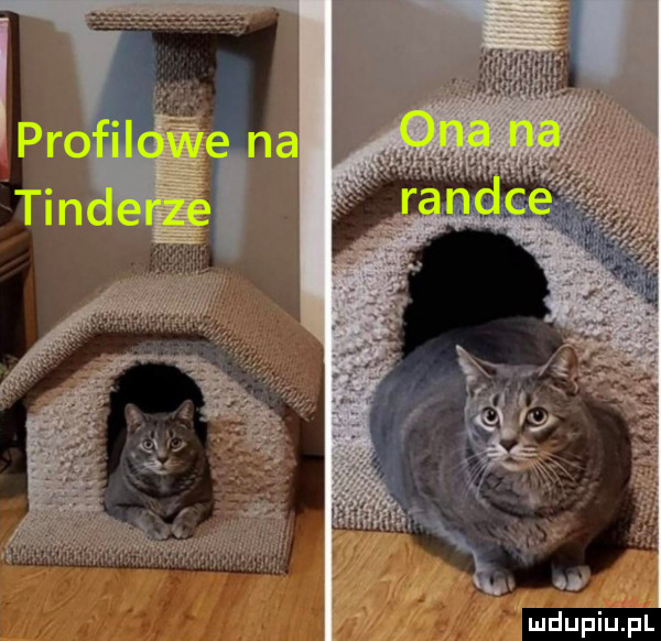 upiu pl