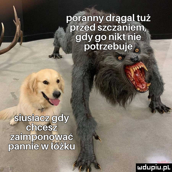 iﬁmmopcnwaé   pn me w łóżku ludu iu. l