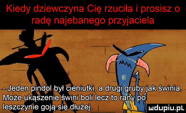 jeden pindol był cieniutki a drugi gruby jak świnia. może ukąszenie świni boli lecz to rany pa leszczynie goją się dłużej ludupiu. pl