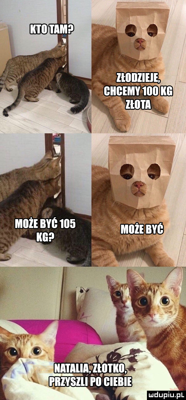 maż bae     m