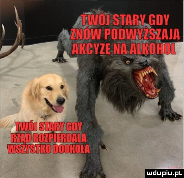 upiu pl