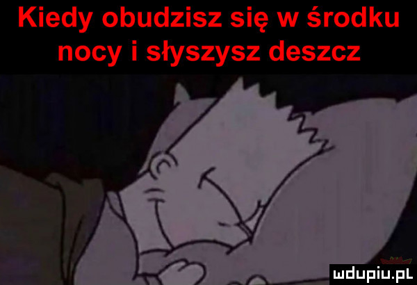 Obrazek
