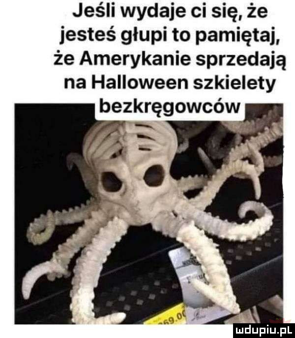 jeśli wydaje ci się że jesteś głupi to pamięta że amerykanie sprzedają na halloween szkielety bezkręgowców ludupiu. pl