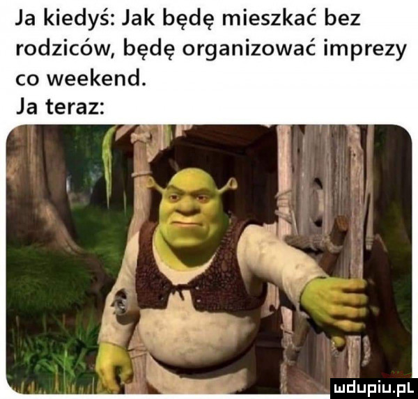 ja kiedyś jak będę mieszkać bez rodziców będę organizować imprezy co weekend. ja teraz