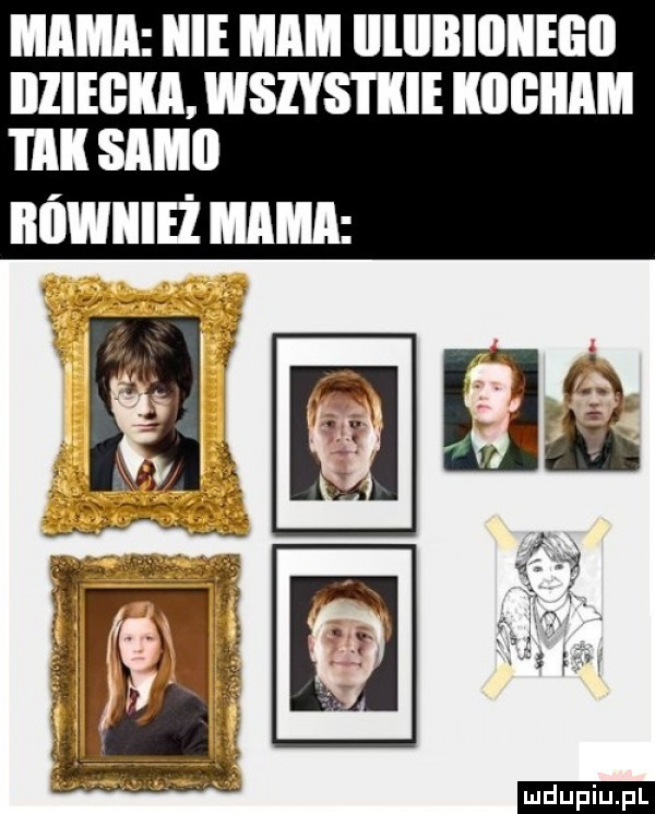 upiu pl