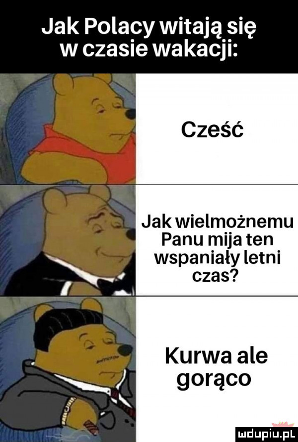 jak polacy witają się w czasie wakacji cześć jak wielmożnemu panu mija ten wspaniały letni kurwa ale gorąco