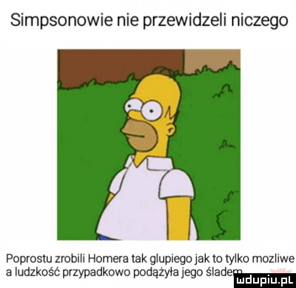 simpsonowie nie przewidzeli niczego podrostu zrobili homera tak glupiego jak to tylko mozliwe a ludzkość przypadkowo podążyła jego śladem