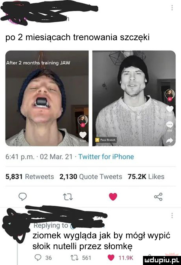 po   miesiącach trenowania szczęki after   months training jaw      pm    mar    twitterforiphone       retweets       quote tweets     k limes q o eplymg to ziomek wygląda jak by mógł wypić słoik nutelli przez słomkę     gsm       mm