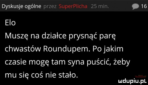 dyskusje ogólne guru superpllcha a w.    elo muszę na działce prysnąć parę chwastów roundupem. pojakim czasie mogę tam syna puścić żeby mu się coś nie stało. mduplu pl