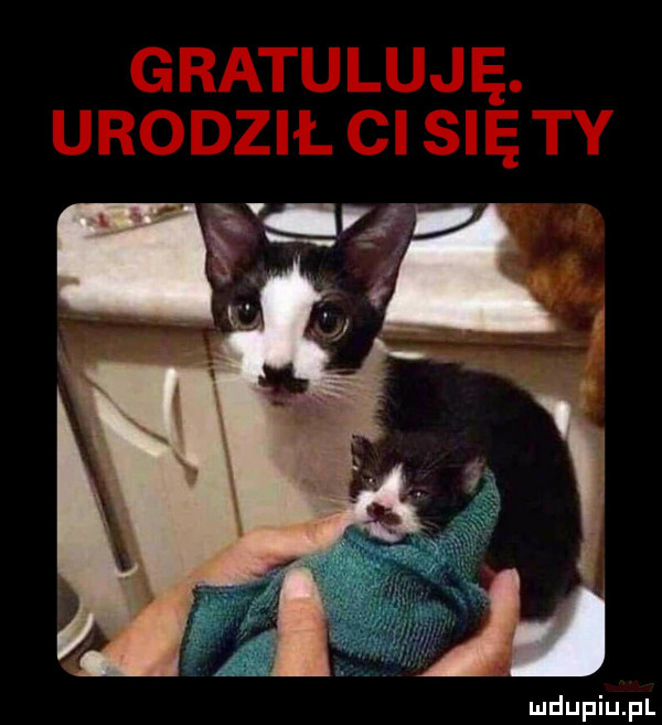 Obrazek