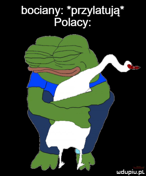 bociany przylatują polacy