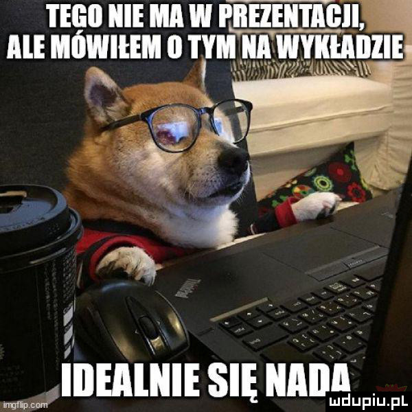 tip ii icie m w i iłęzęiil a irli lale mlwiiem   vii a wyiihiiiiie   willlelllliie sie llllllwlwwww