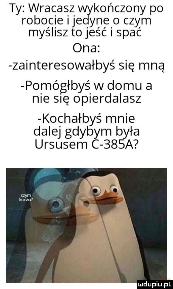 ty wracasz kończony po robocie ice yne o czym myślisz to jeść i spać ona zainteresowałbyś się mną pomó głbyś w domu a nie się opierdalasz kochałbyś mnie dalej gdybym była ursusem c    a ludupiu j il