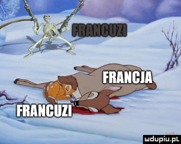 upiu pl
