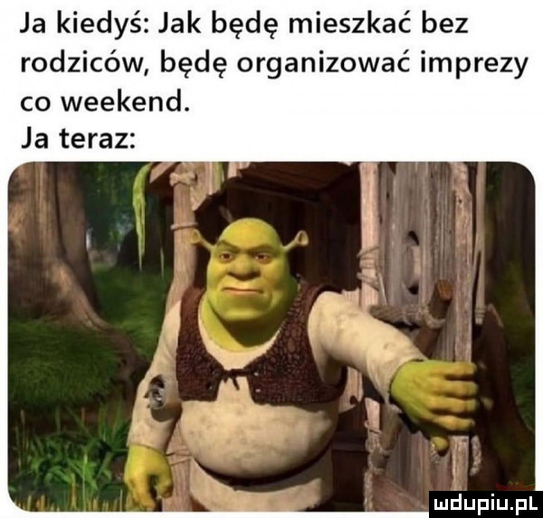 ja kiedyś jak będę mieszkać bez rodziców będę organizować imprezy co weekend. ja teraz