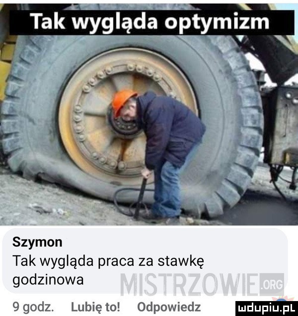 tak tłvygląda optymizm x szymon tak wygląda praca za stawkę godzinowa qqodz. lunięto odpowiedz