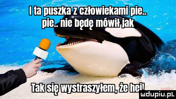 hme   uszk a z czlowigkami ieee