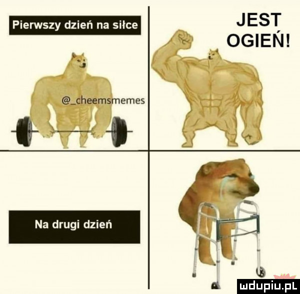 jest iv ogien mb w i i fk eheemsmemes xw ę x. wt na drugi dzień a