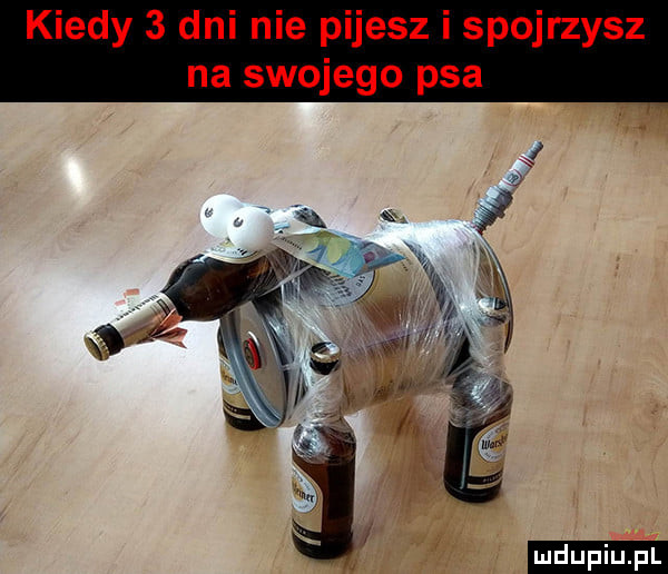 kiedy   dni nie pijesz i spojrzysz na swojego psa ludu iu. l