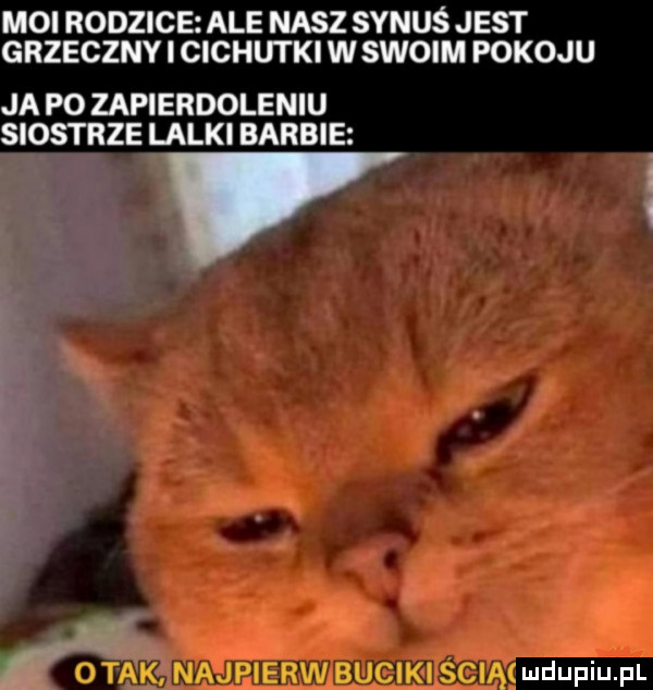 Obrazek