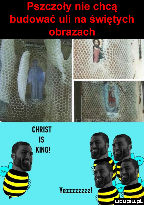 pszczoły nie chcą budować uli na świętych obrazach