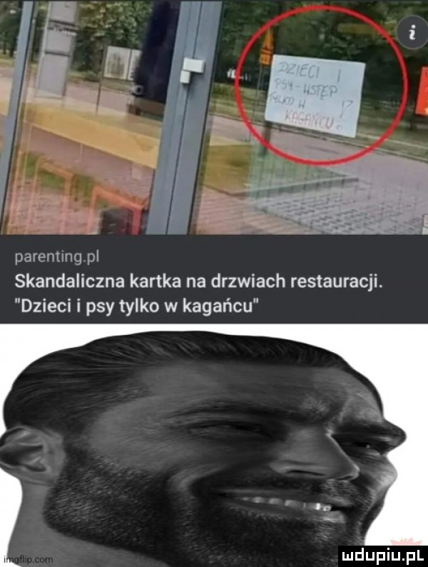 paremlngvpl skandaliczna kartka na drzwiach restauracji. dzieci i psy tylko w kagańcu