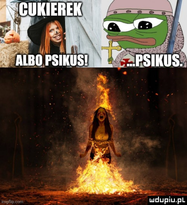 Obrazek