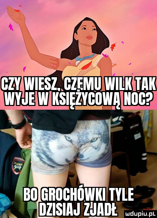 bai lilłllgłillwki tyle dzisiaj zjaiii. up z