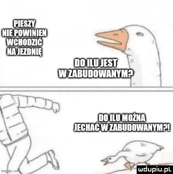 pies nie powinien wlłllllllllć ilii hiinię i illl millliii iegiiag w zabiiiiiiwmiym il mduﬁiupl