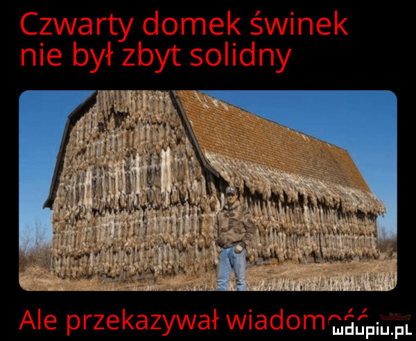 Obrazek