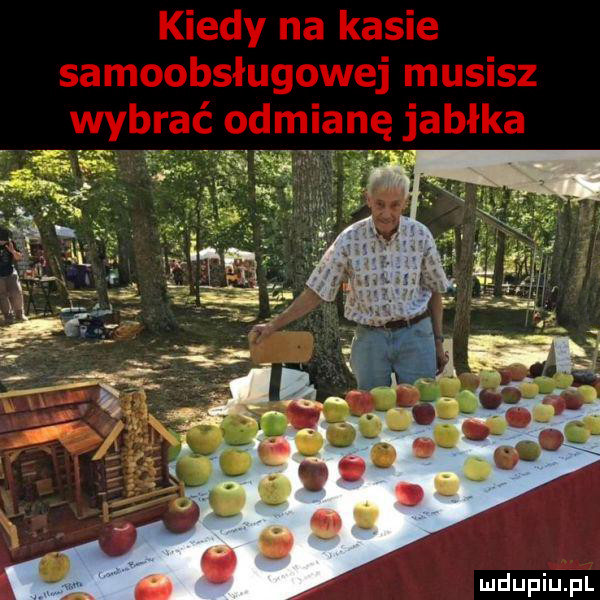 Obrazek