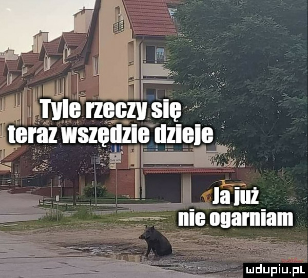 wić naw się teraz wszędzie lylzrieigj la inż nie ogarniam