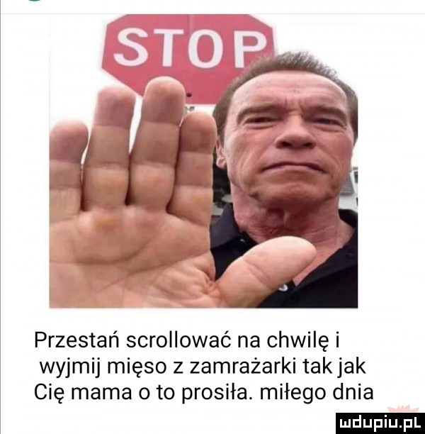 przestań scrollować na chwilę i wyjmij mięso z zamrażarki takjak cię mama oto prosiła. miłego dnia ludu iu. l