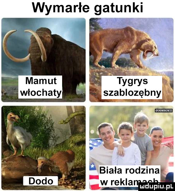 wymarłe gatunki