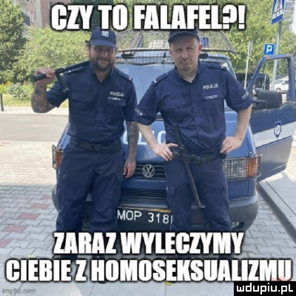 l tezy tiifalafe w