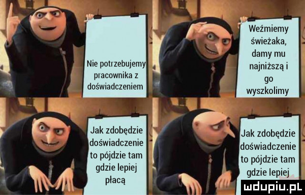 pvacownlka z doświadczemem jak zdobędzie doświadczenie   pójdzie tam gdule ep ej płacą weźmiemy świeżaka damy mu najniższą go wyszkolamy   jak zdobędzie doświadczenie lo pójdzie lam gdzie lepiej