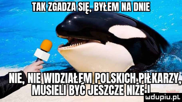 Obrazek