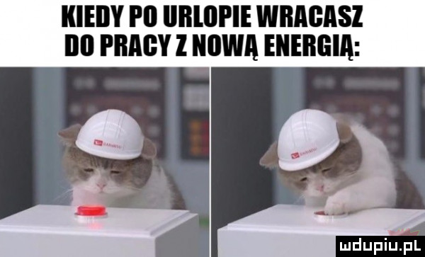 kiedy pii iiiiliii ie wracasz ibl pracy l nowa energia