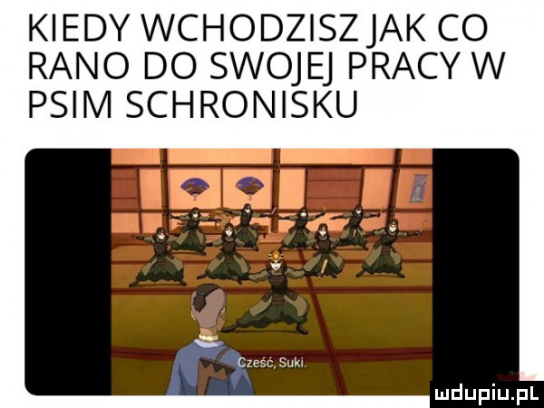 kiedy wchodziszjak co rano do swojej pracy w psim schronisku