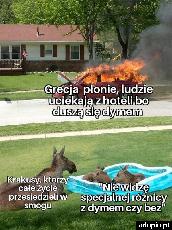 krakusy którzy całe życie nie wadzę przesiedzieli w specjalnej różnicy smogu z dymem czy bez