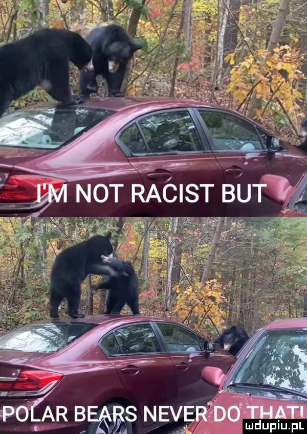 r rę snev a