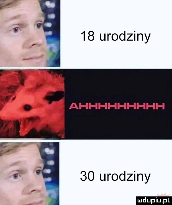 urodziny    urodziny