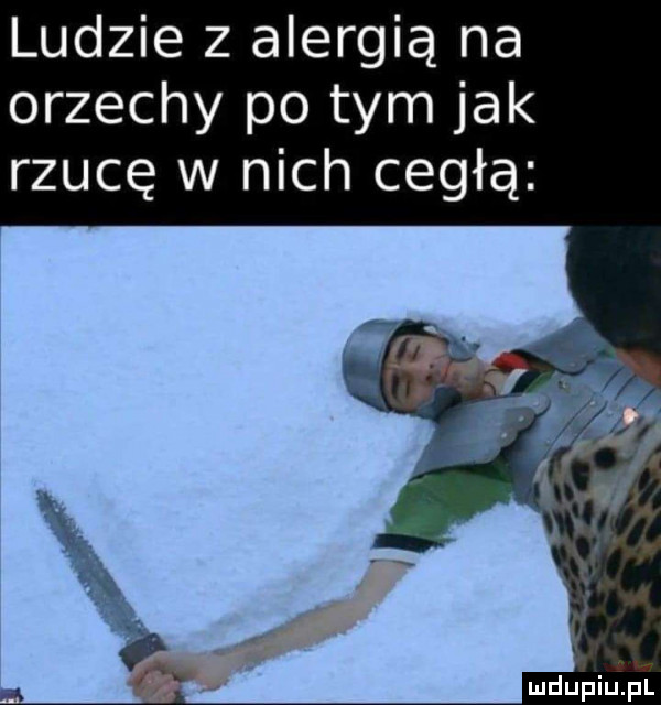 ludzie z alergią na orzechy po tym jak rzucę w nich cegłą ł