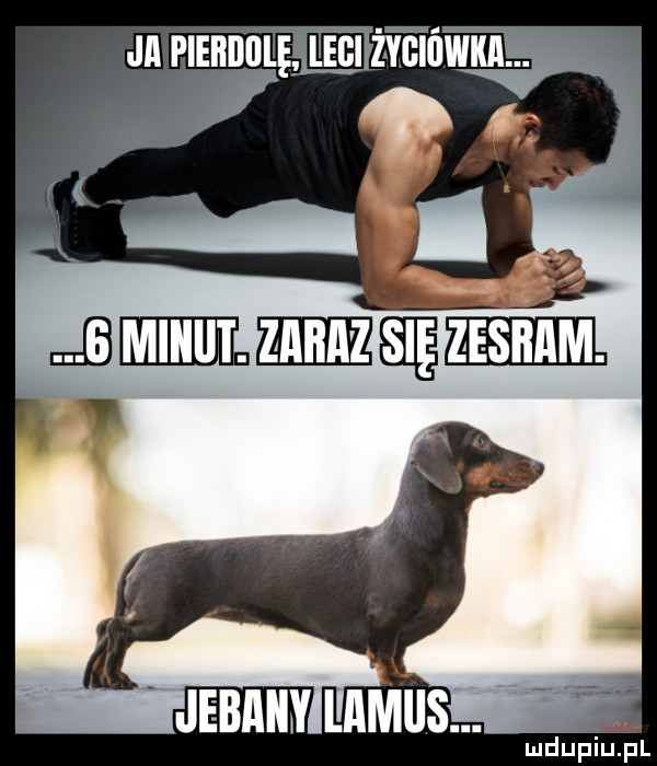 japieiidulęm ż yśińw. i. abakankami nie