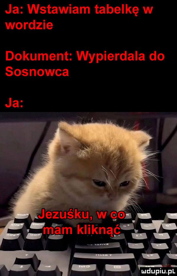 ja wstawiam tabelkę w wordzie dokument wypierdala do sosnowca