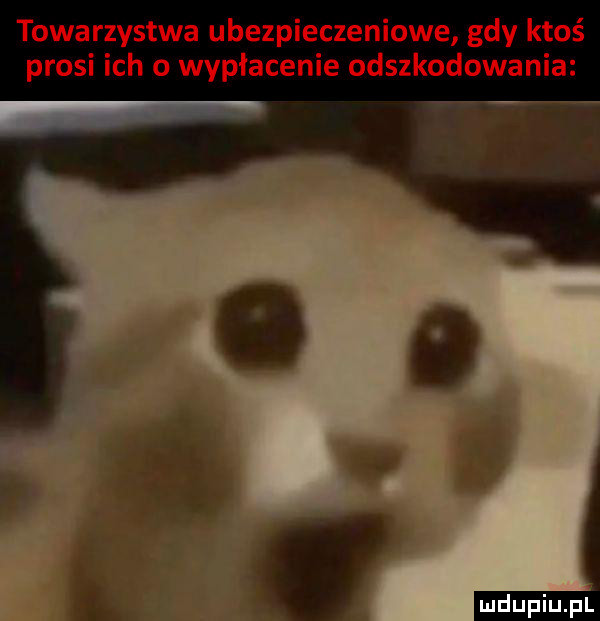 towarzystwa ubezpieczeniowe gdy ktoś prosi ich o wypłacenie odszkodowania