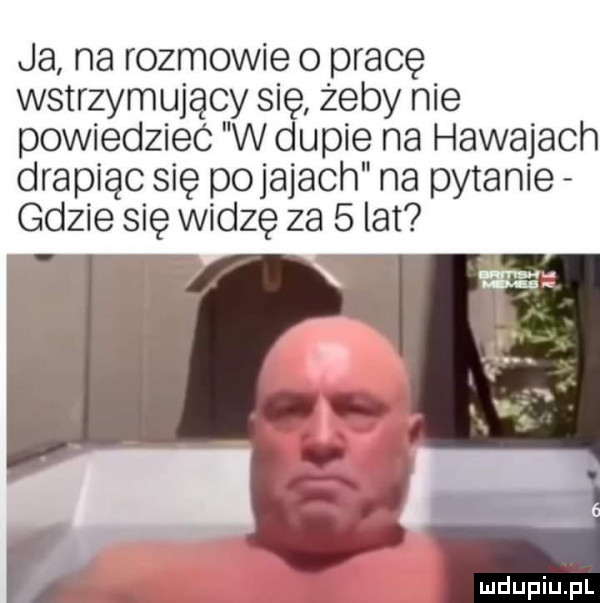 ja na rozmowie o pracę wstrzymujący się żeby nie powiedzieć w dupie na hawajach drapiąc się porajach na pytanie gdzie się widzę za   lat