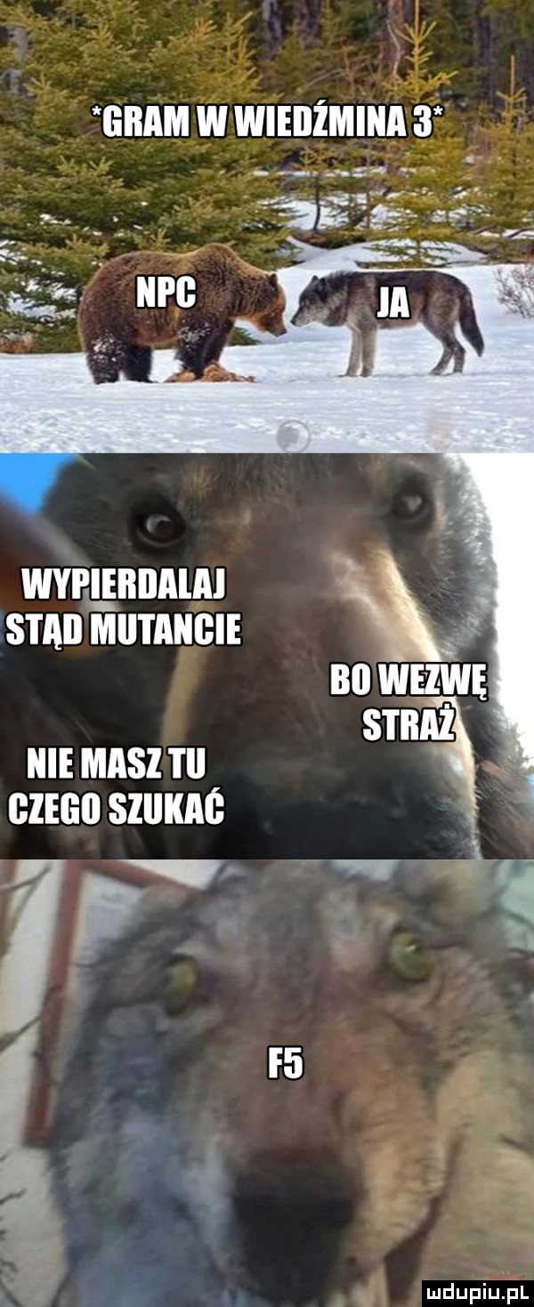 v w. h wyeębiiaiai stali mii i aiigie gł bai wezwę nie masz i ll biegi szuunc v. ż i p. abakankami r  i