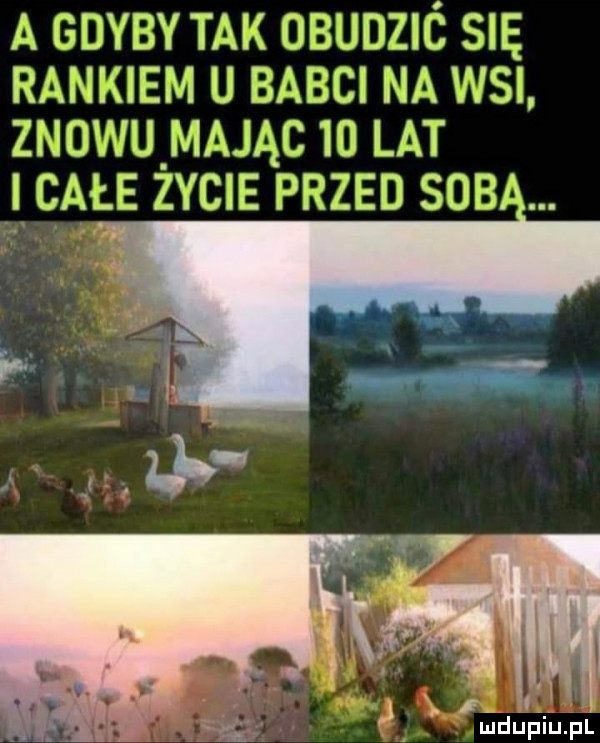 a gdvb t nj cbjjjjzjc sie r mk jej l jj bush ni wsi zzuj u mame w lat j całe ż cae przed sub